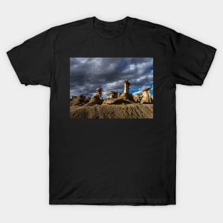 The Creation of Nature T-Shirt